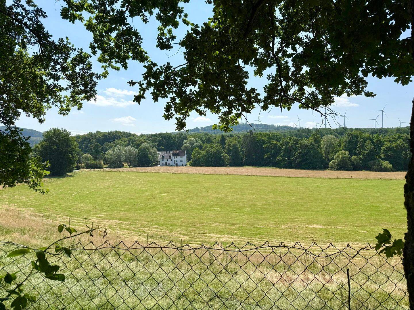 Bild 11