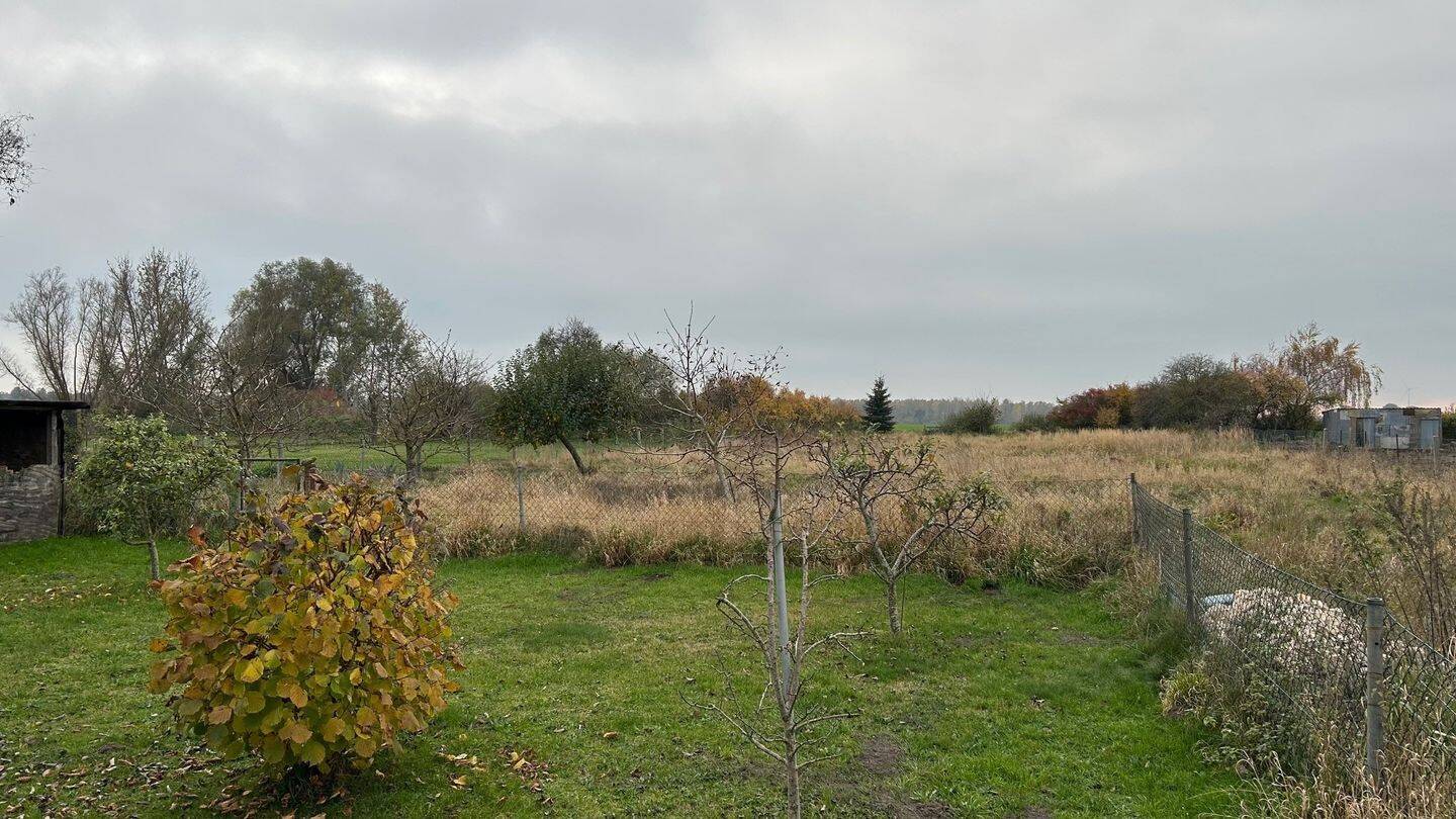 Bild 14
