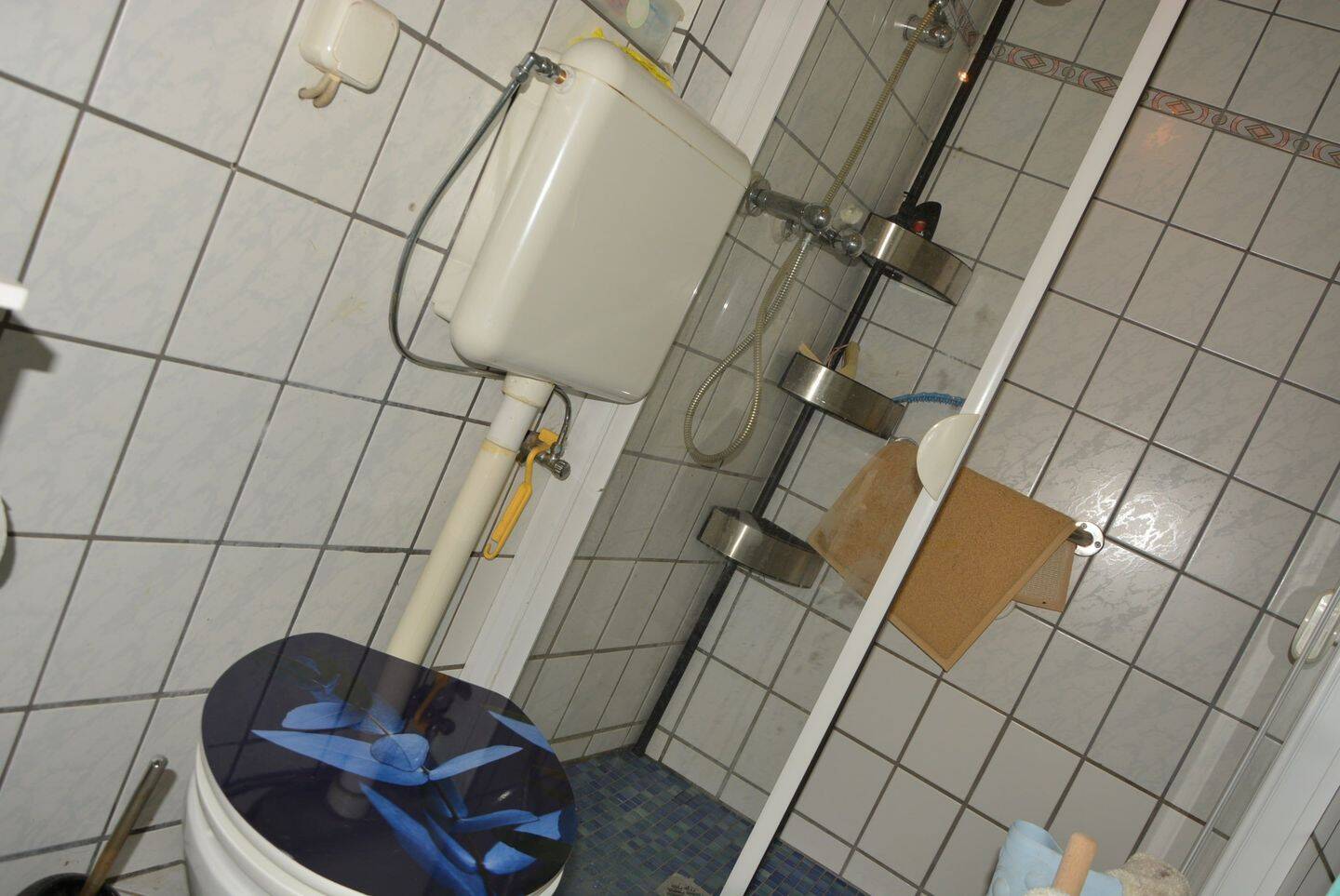 Bild 5