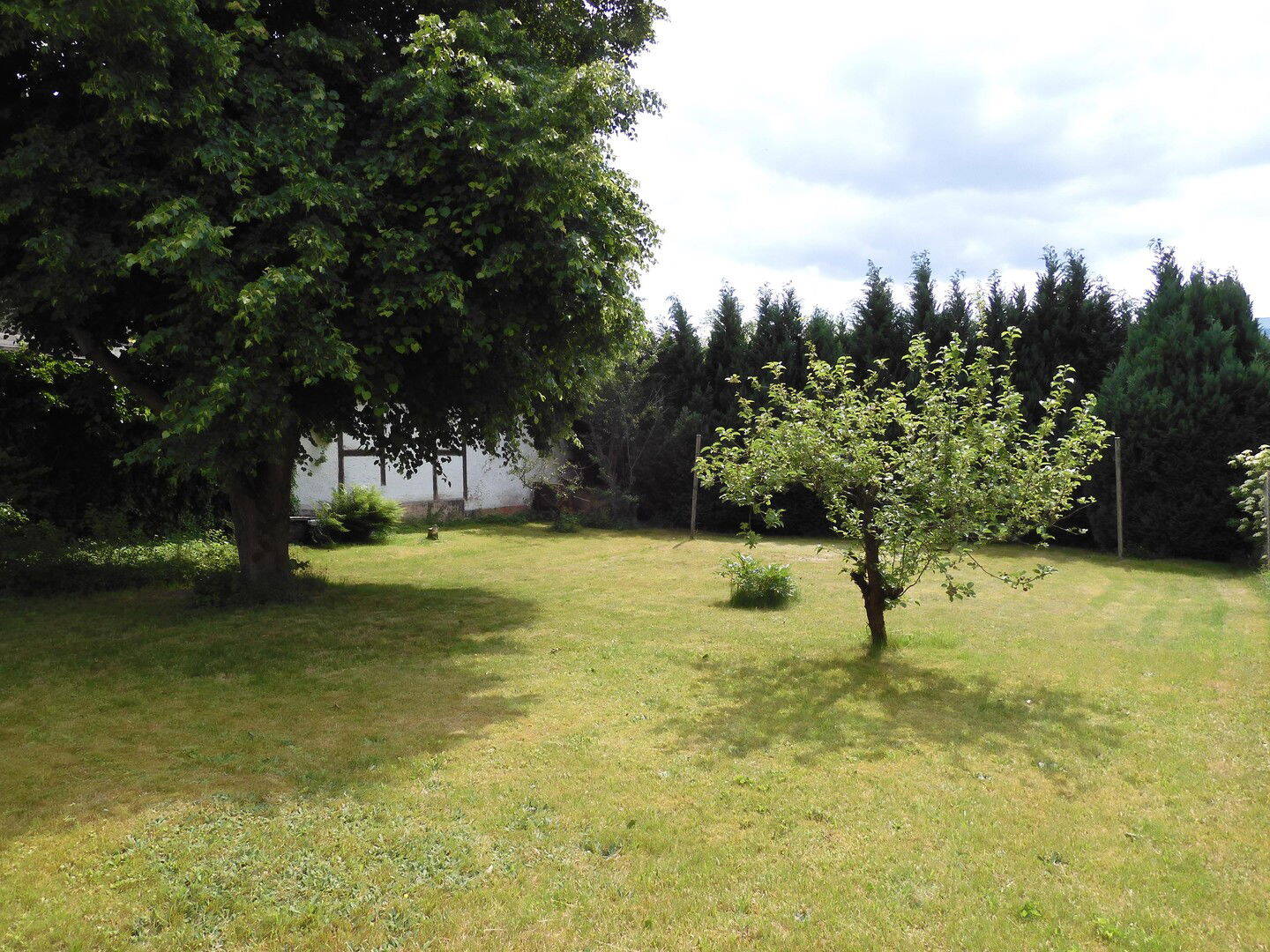 Bild 7