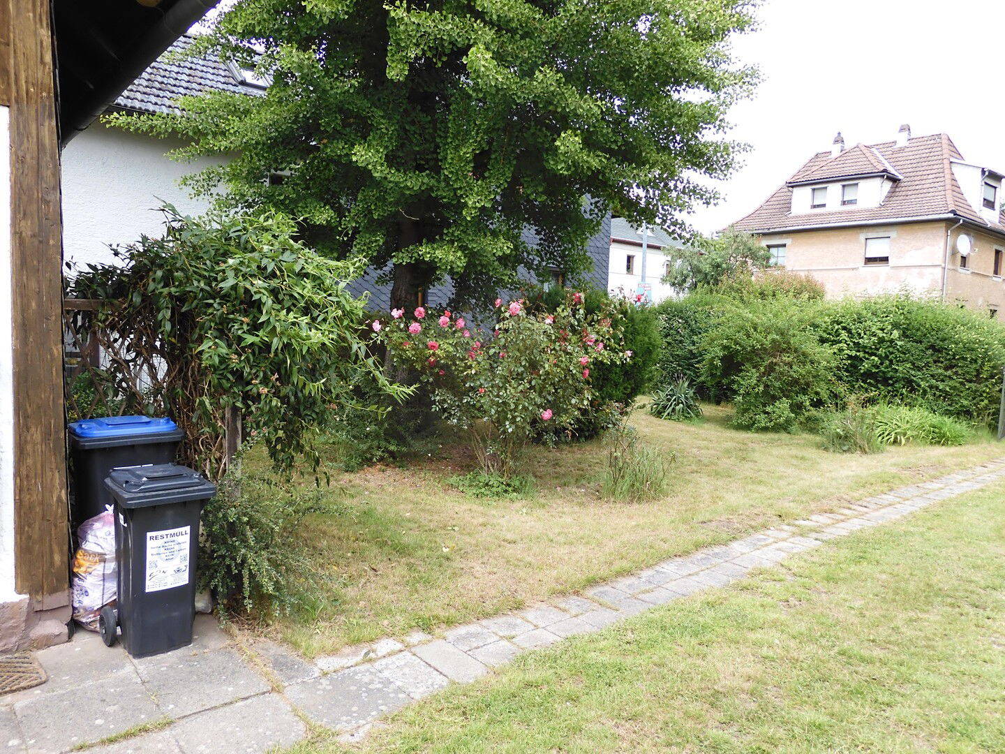 Bild 9