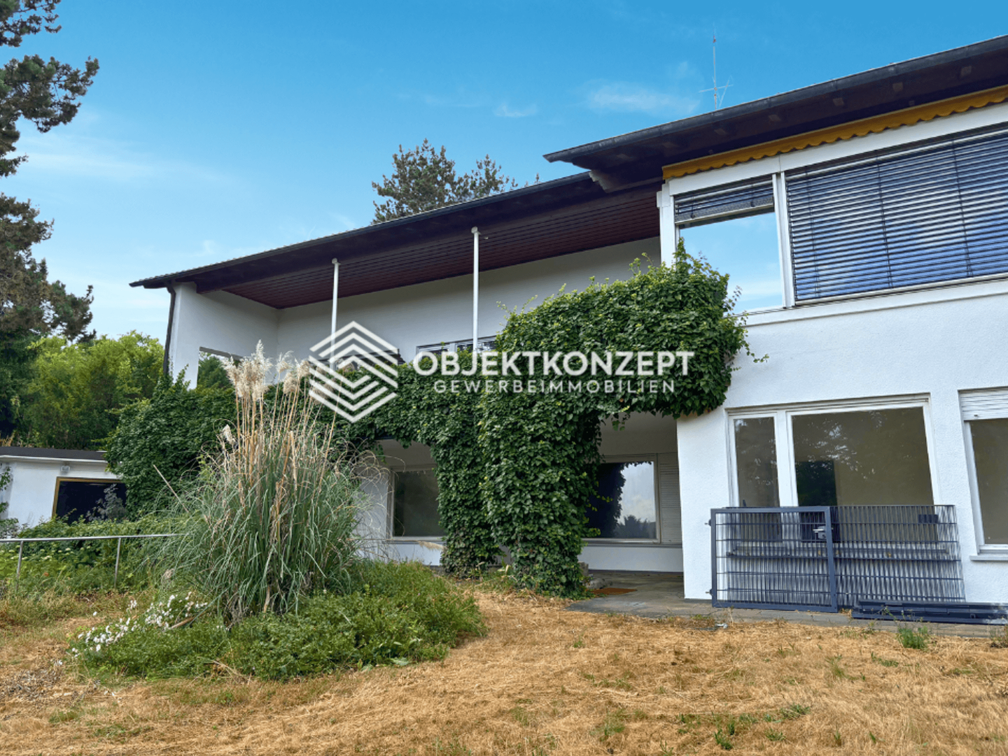 Bild 11
