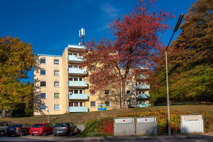 Bild 5