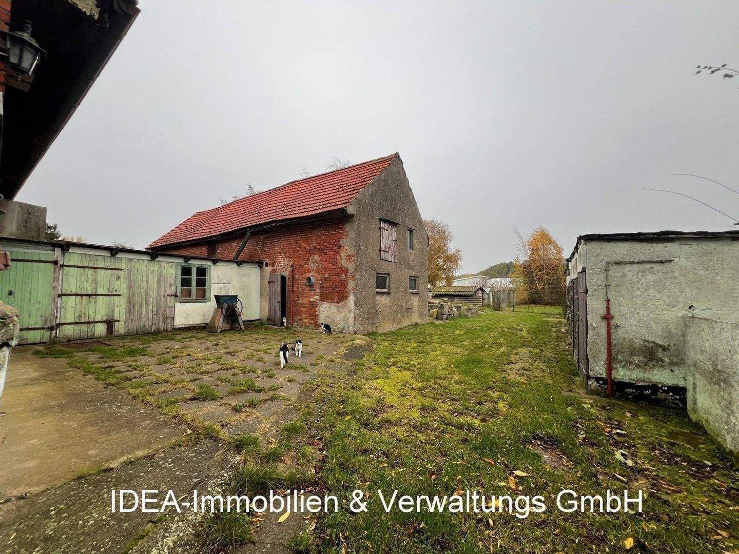 Bild 5
