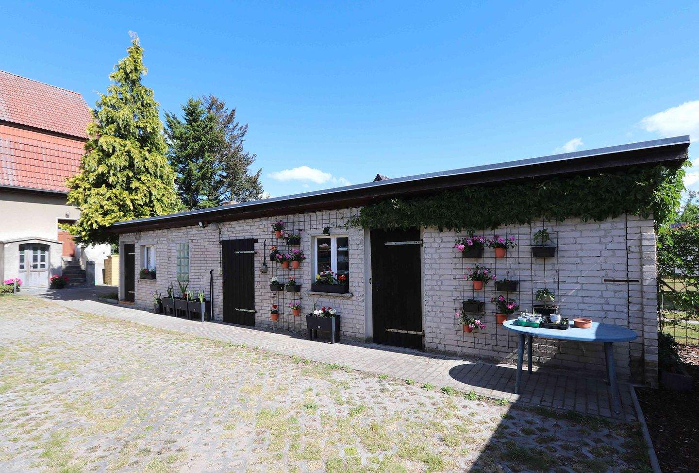 Bild 11
