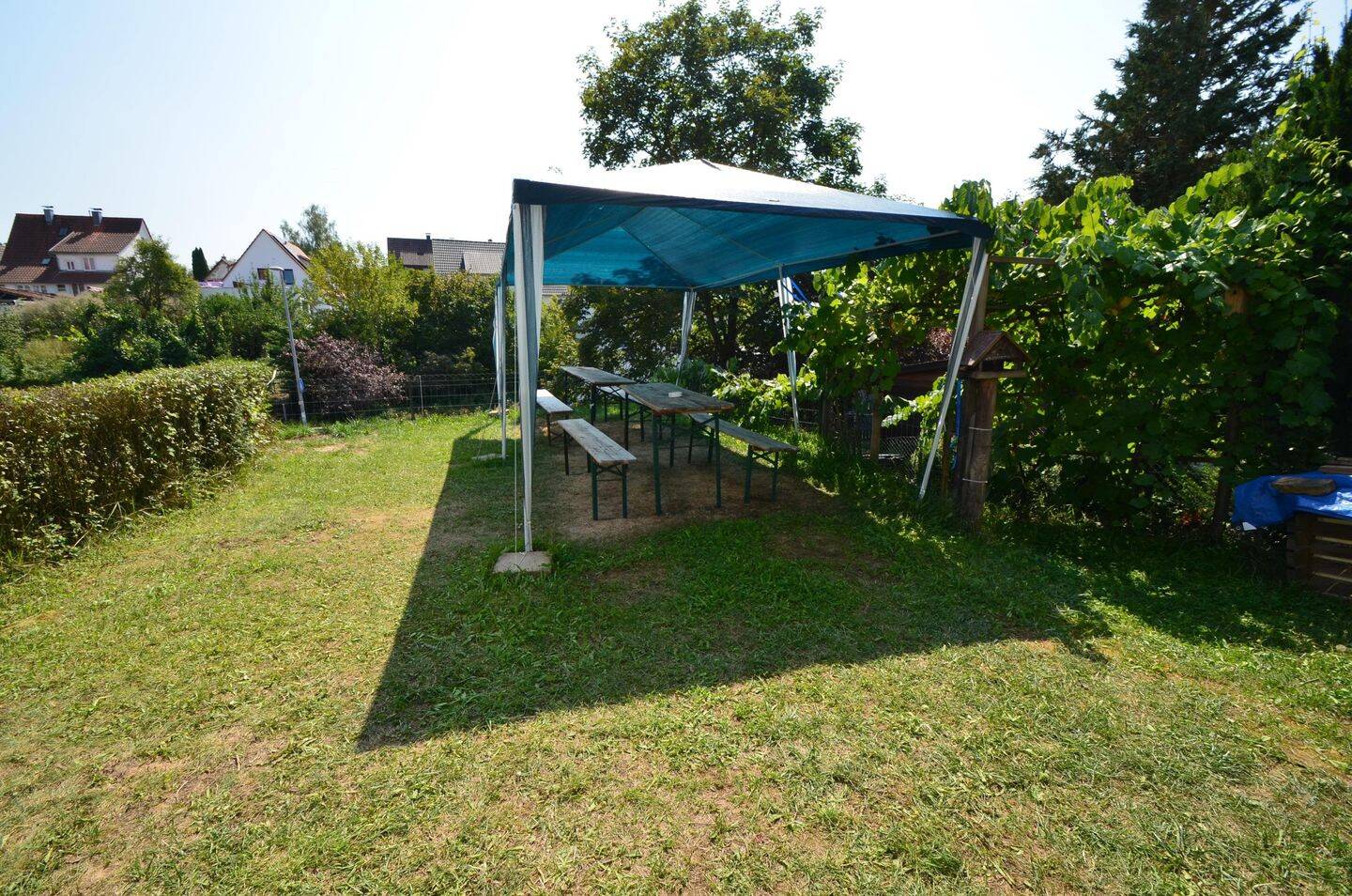 Bild 9
