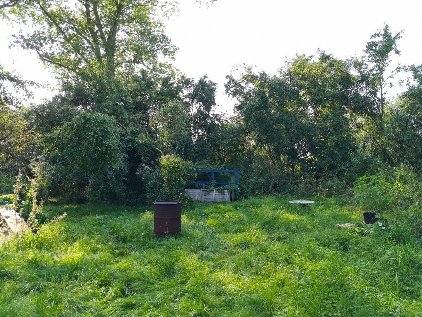 Bild 9