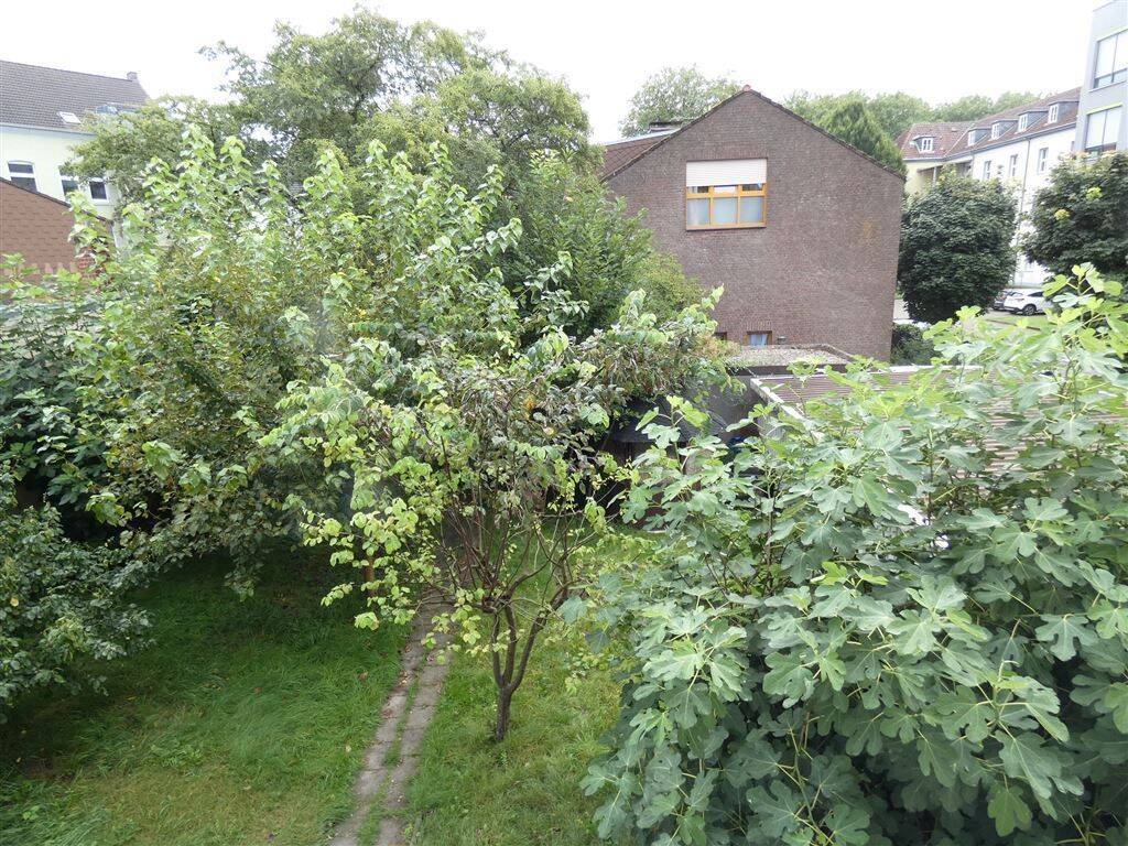 image-67615727