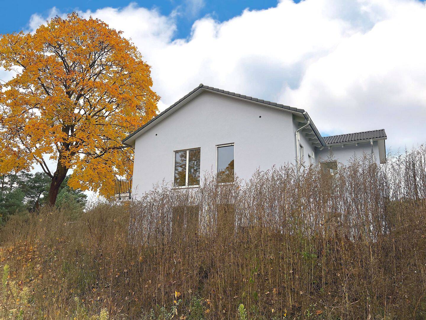 Bild 10