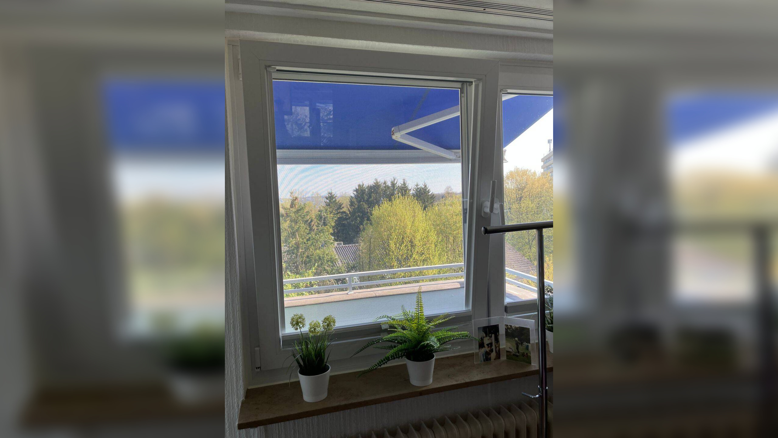 Bild 11