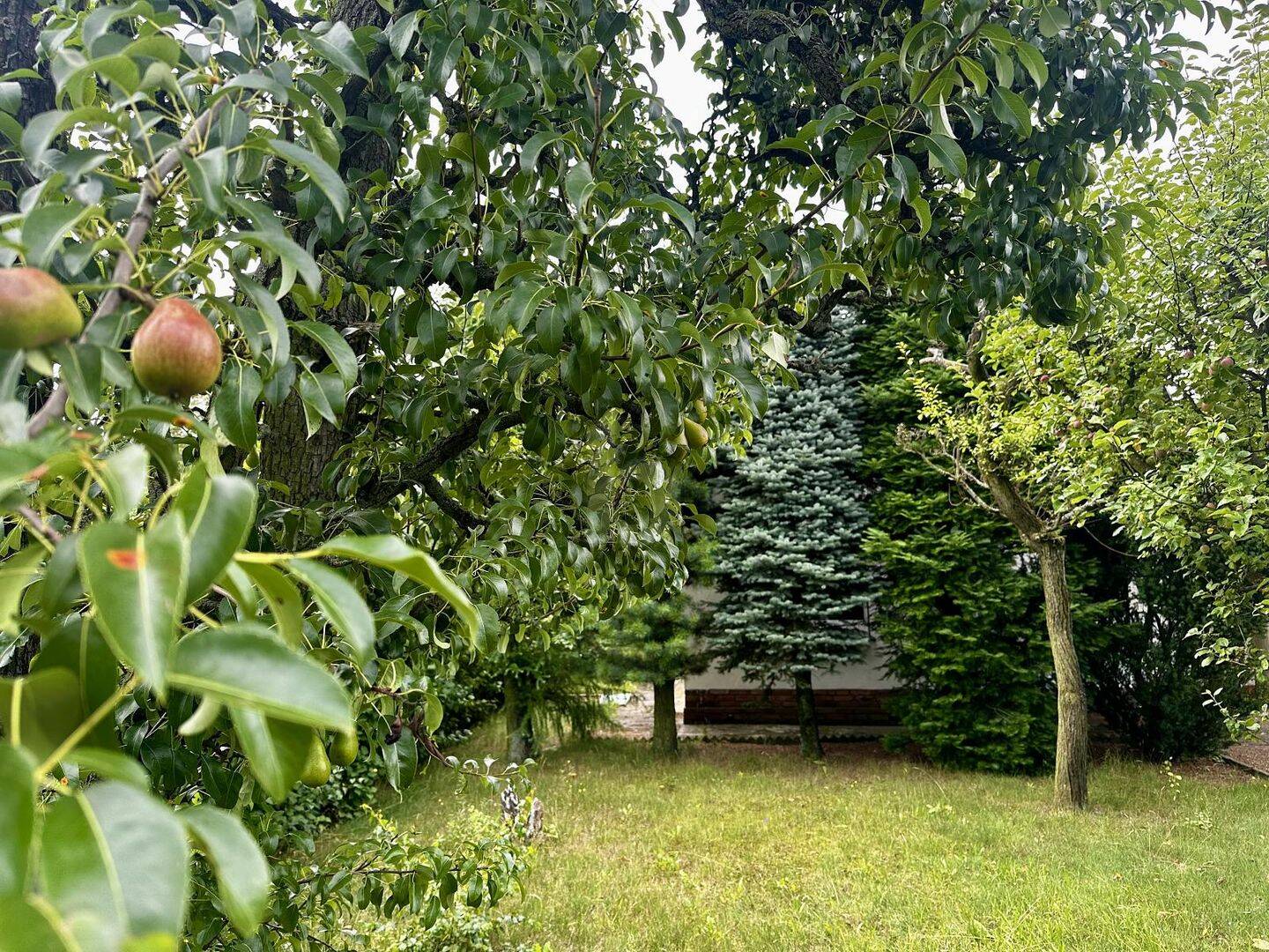 image-67626956