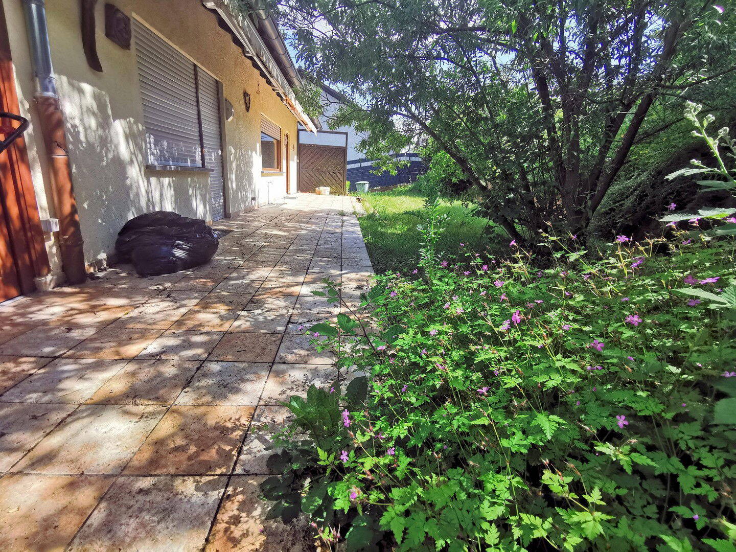 Bild 6