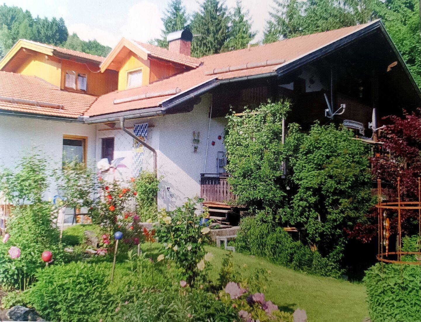 Bild 5