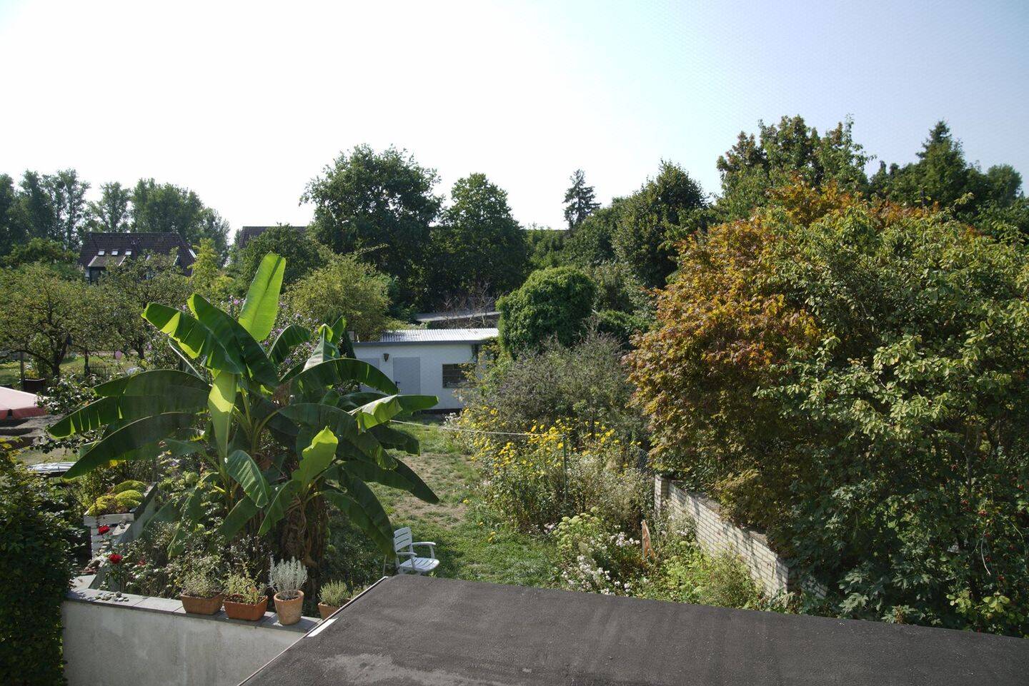 image-67636848