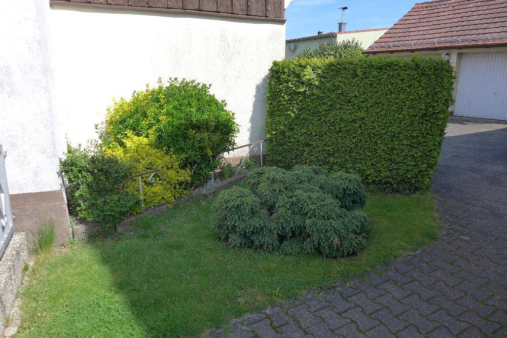 Bild 8