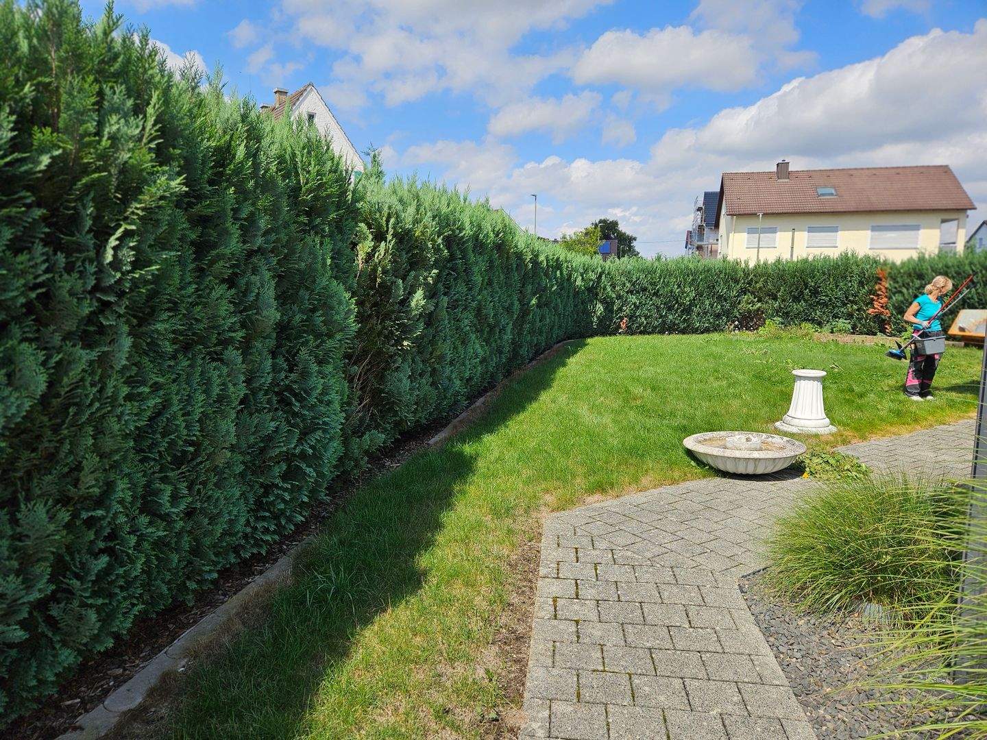 Bild 8