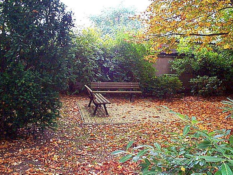Bild 10