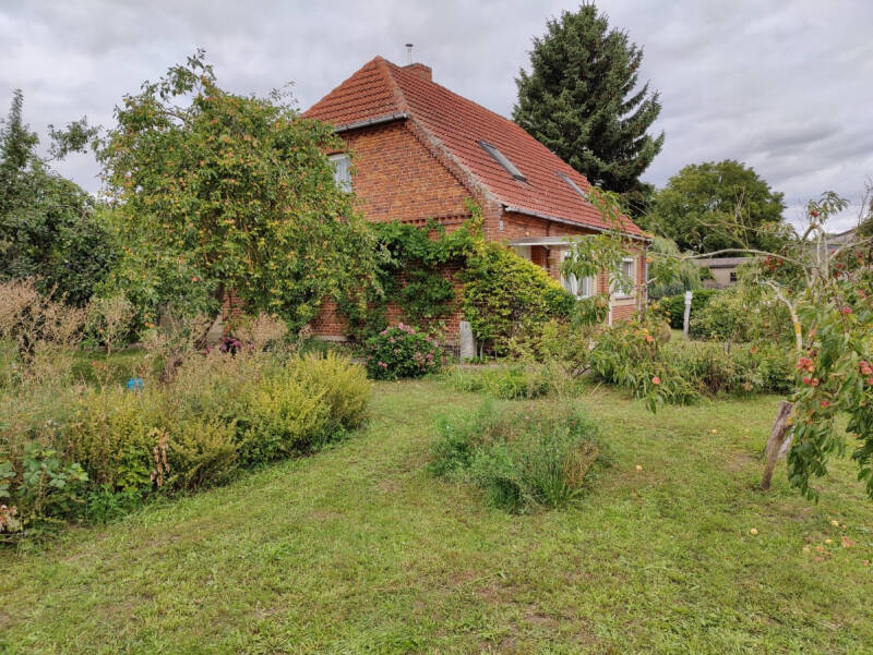 Bild 7
