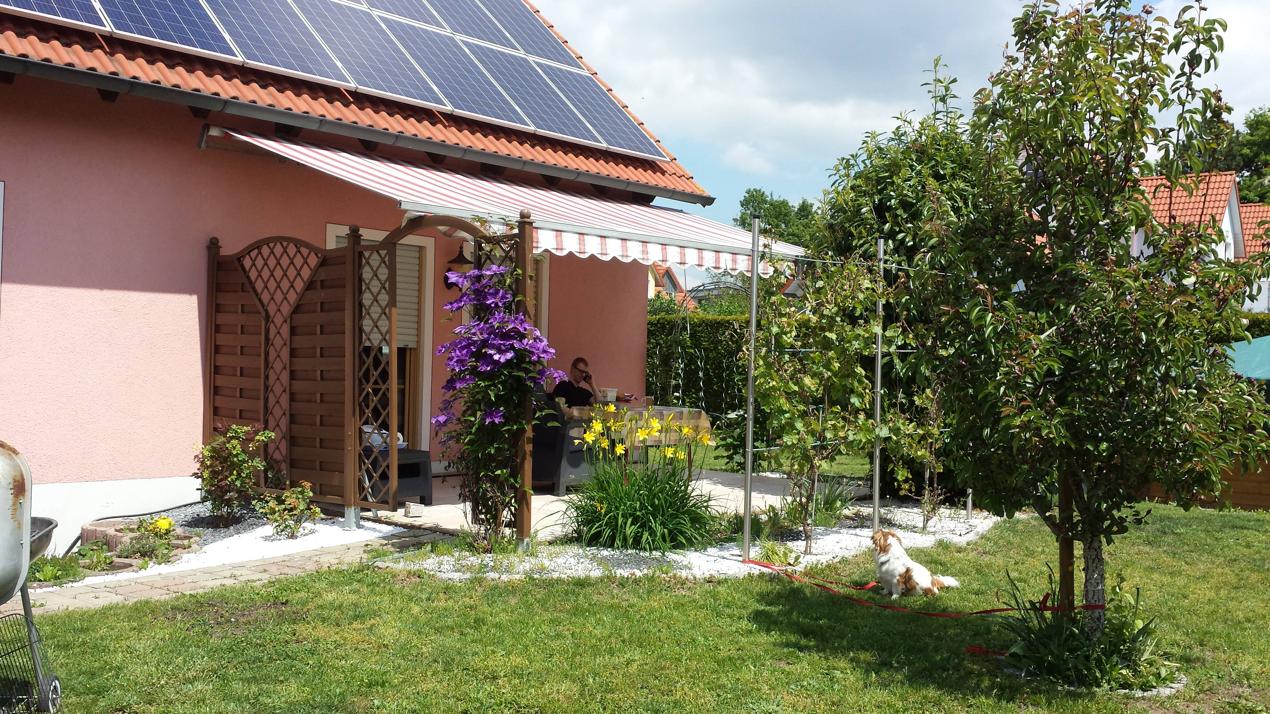 Bild 1