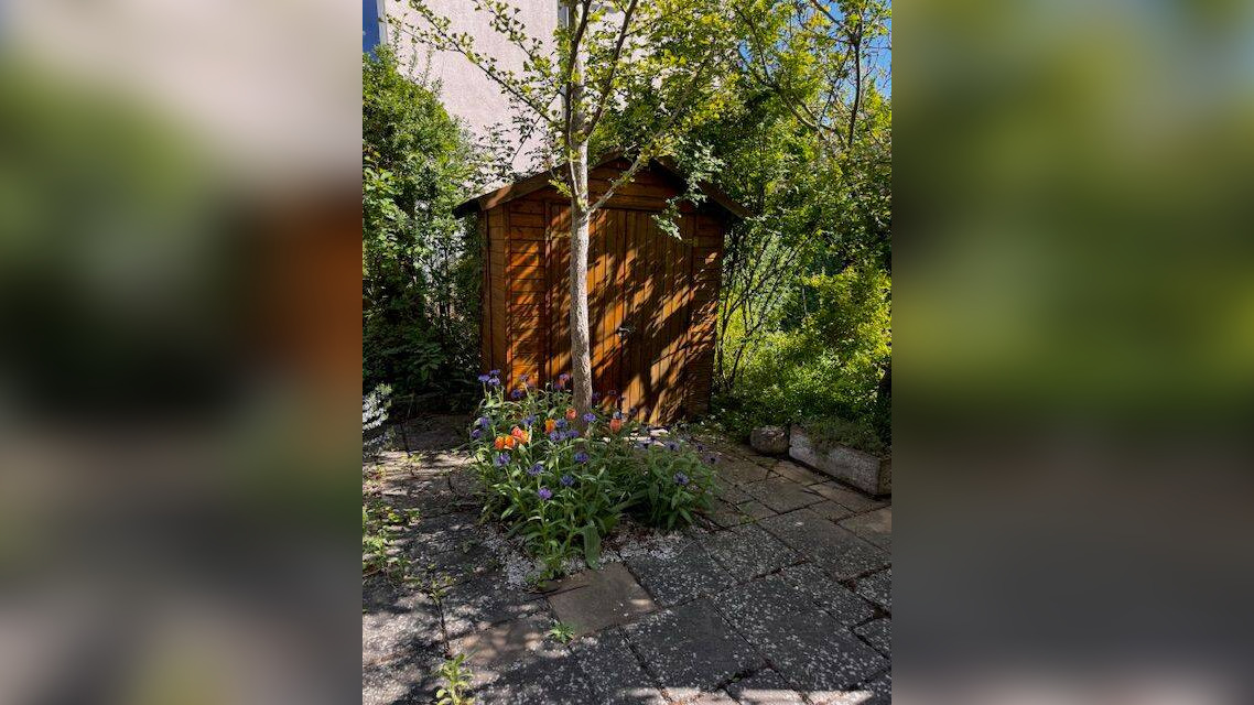 Bild 5