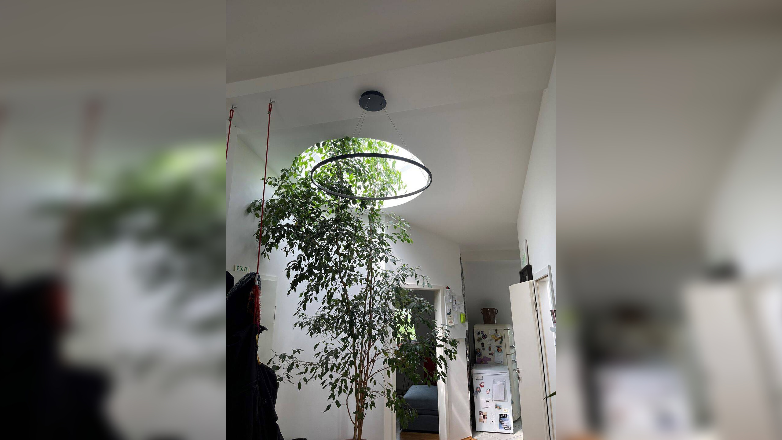 Bild 14