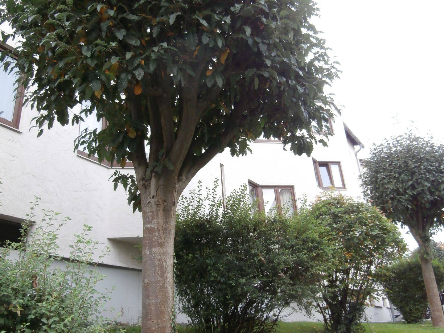 Bild 7