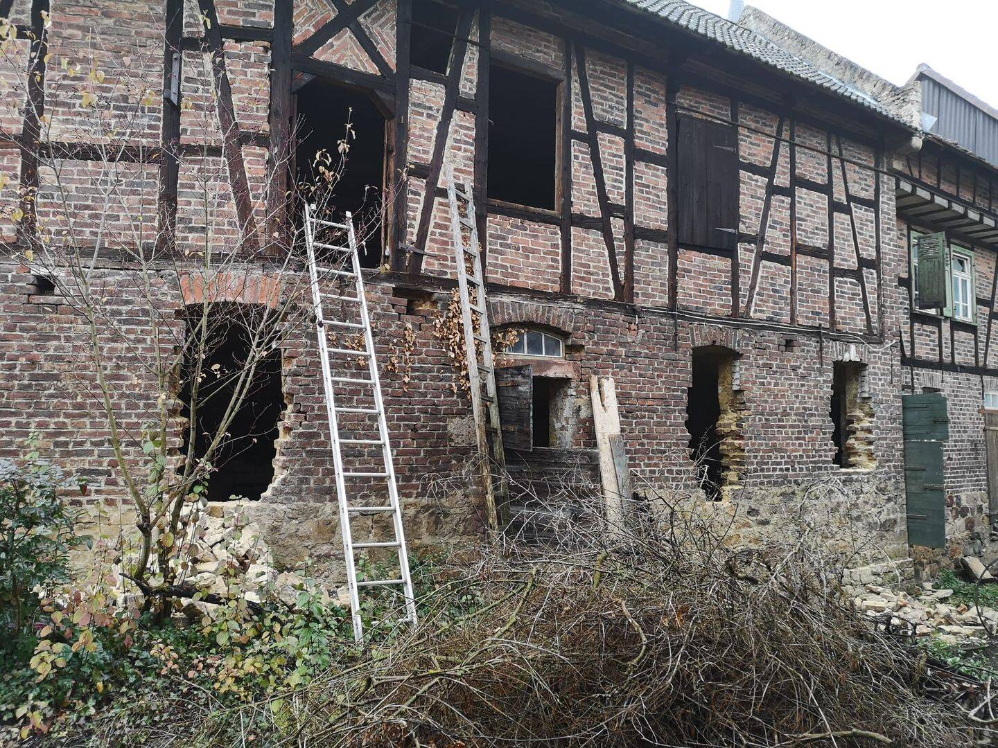 Bild 5