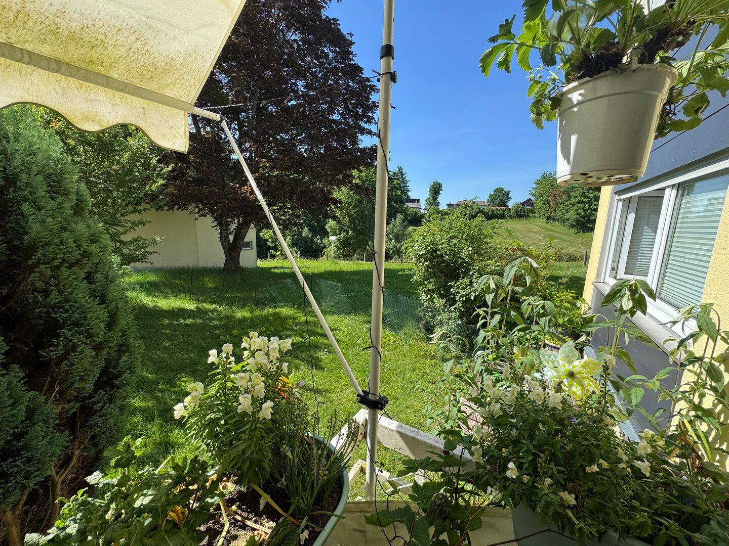 Bild 7