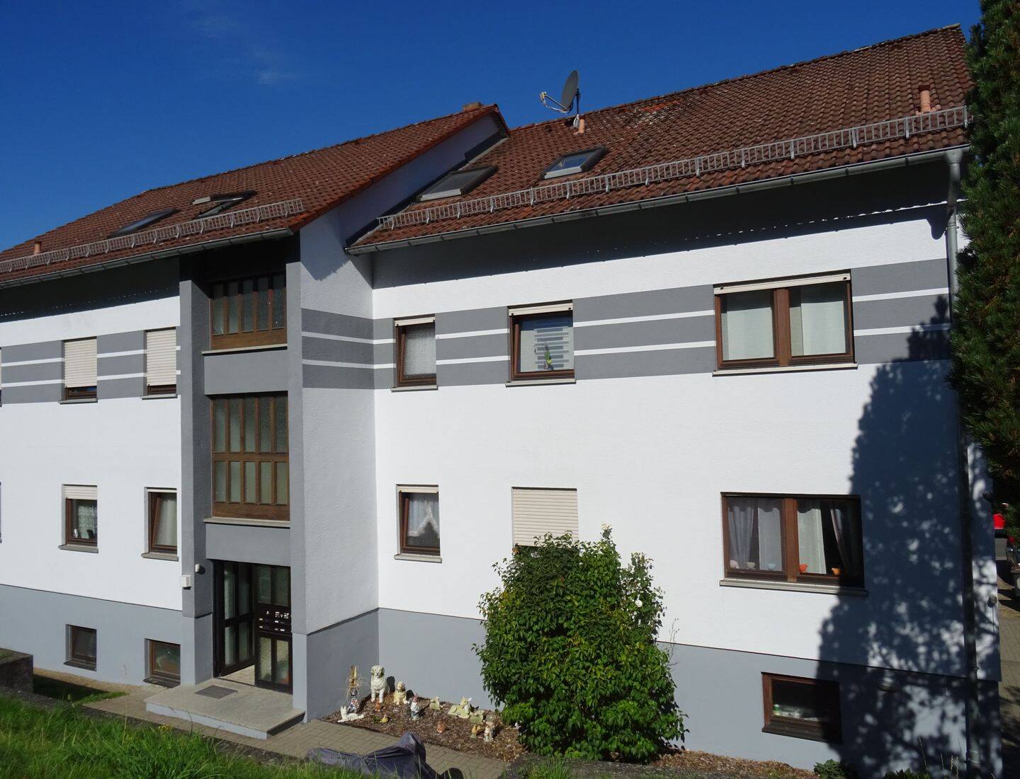 Bild 7