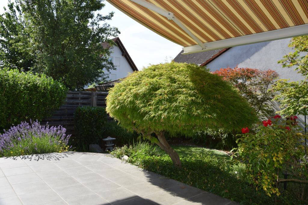 Bild 12
