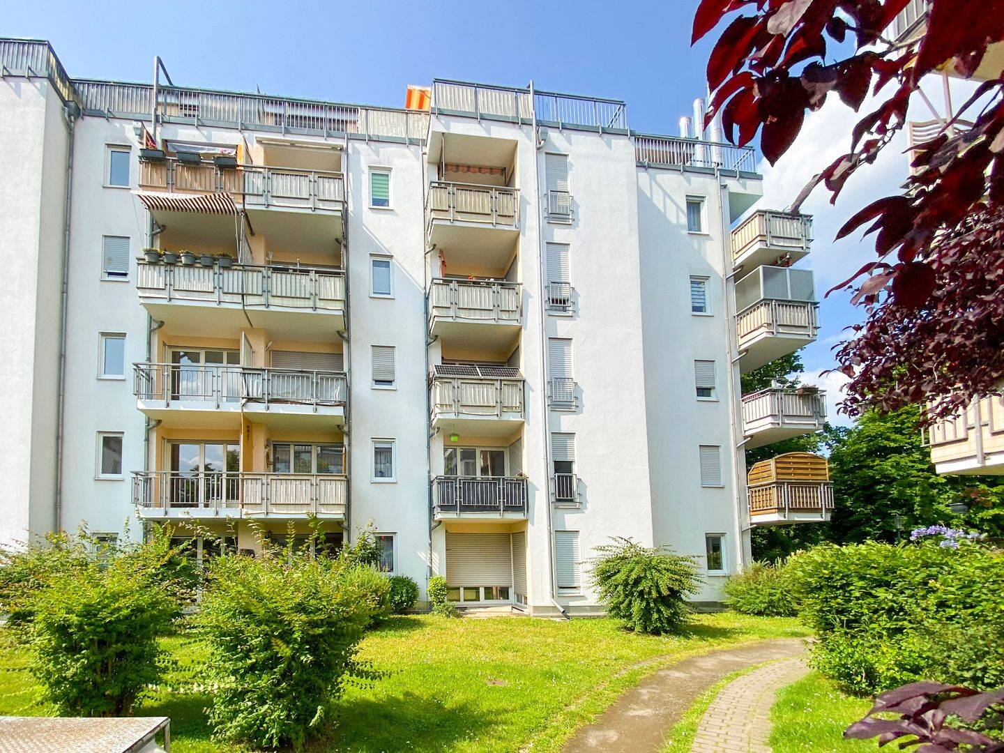 Bild 11