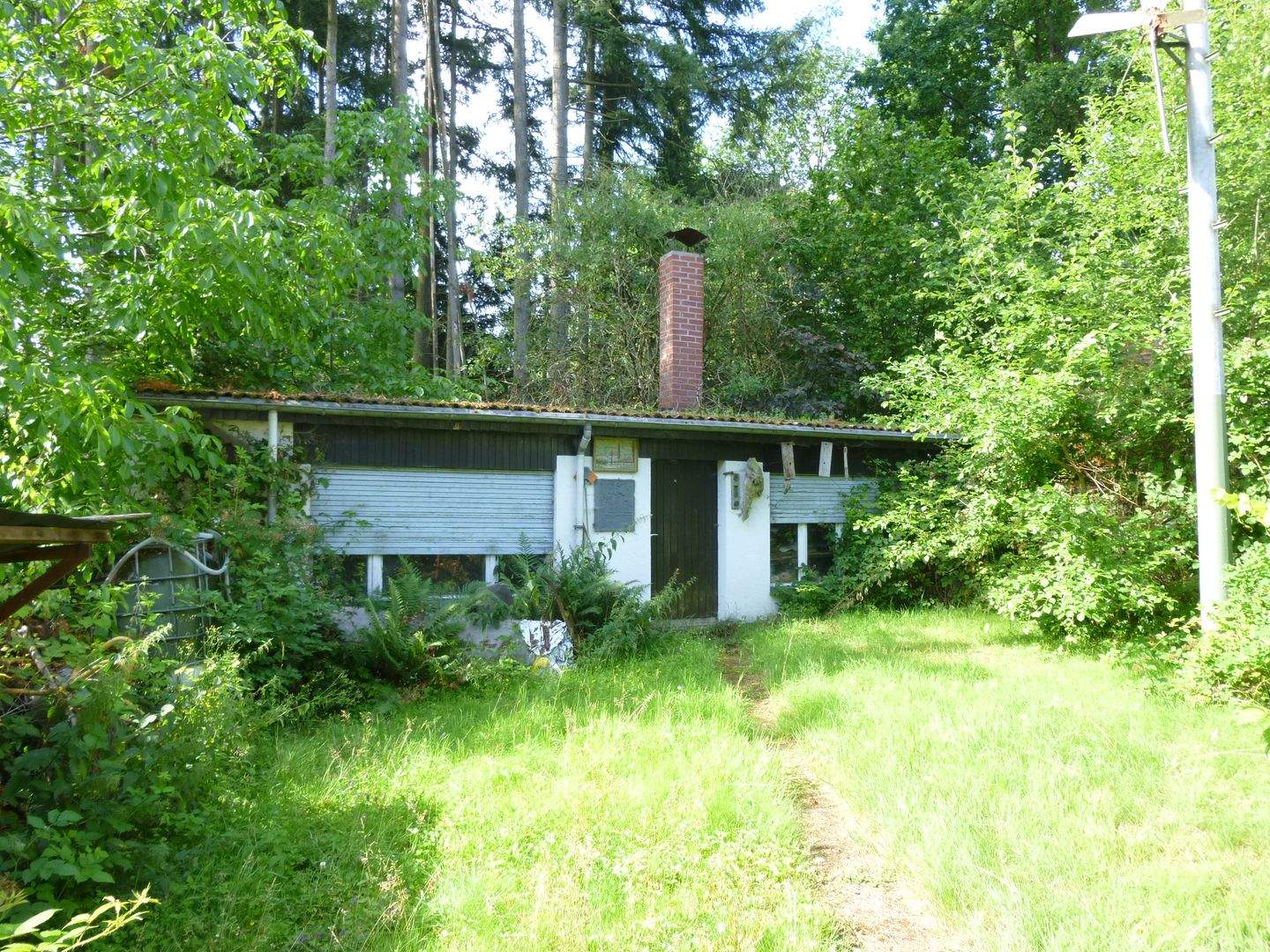 Bild 4