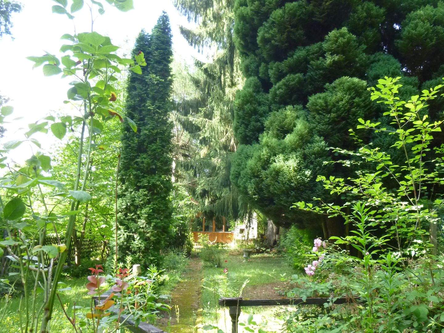 Bild 5