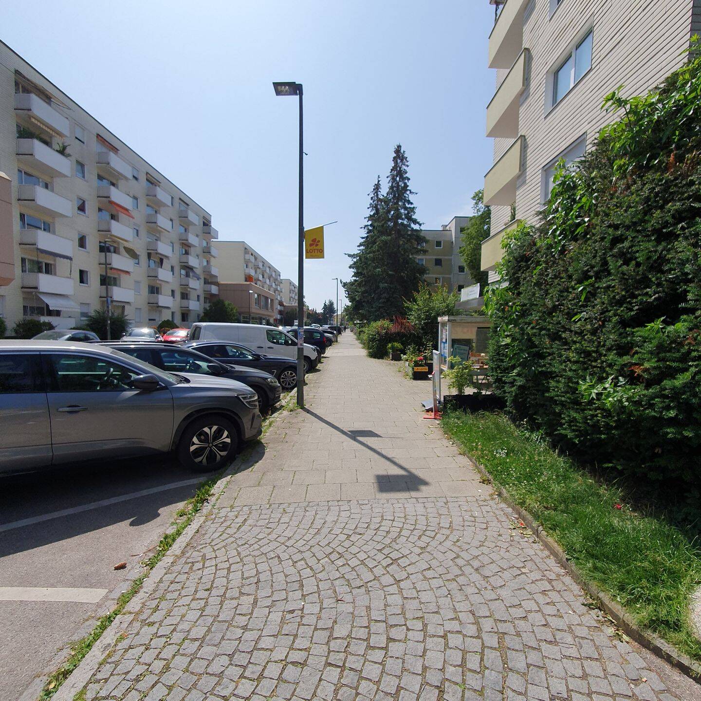 Bild 7