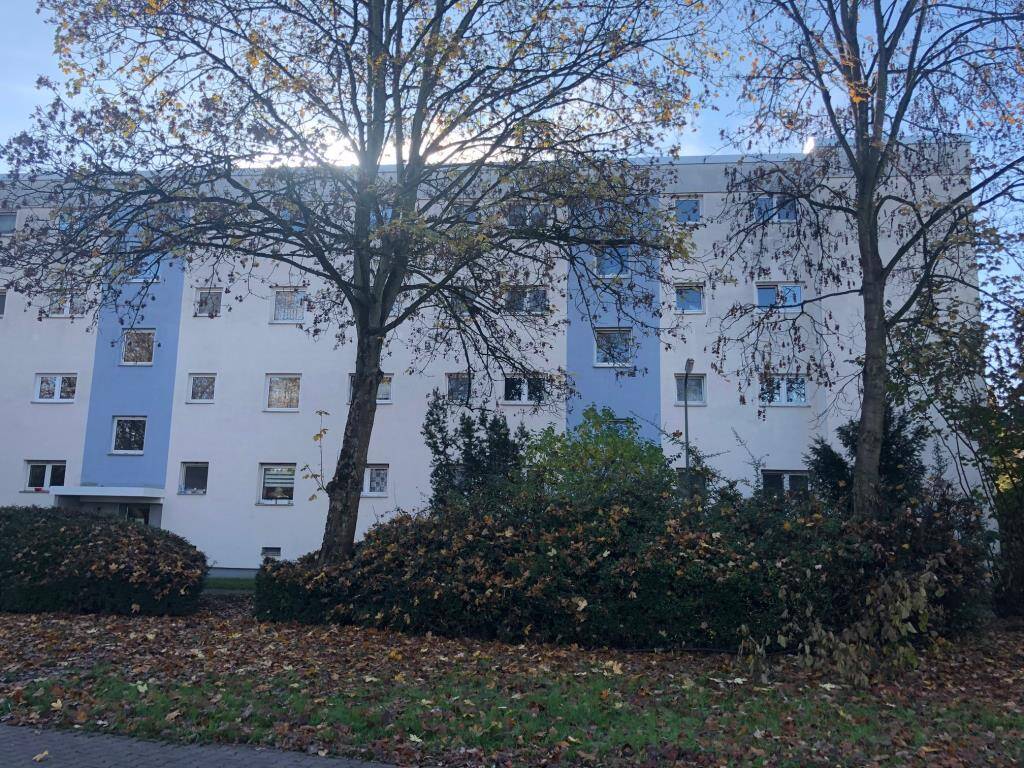 Bild 4