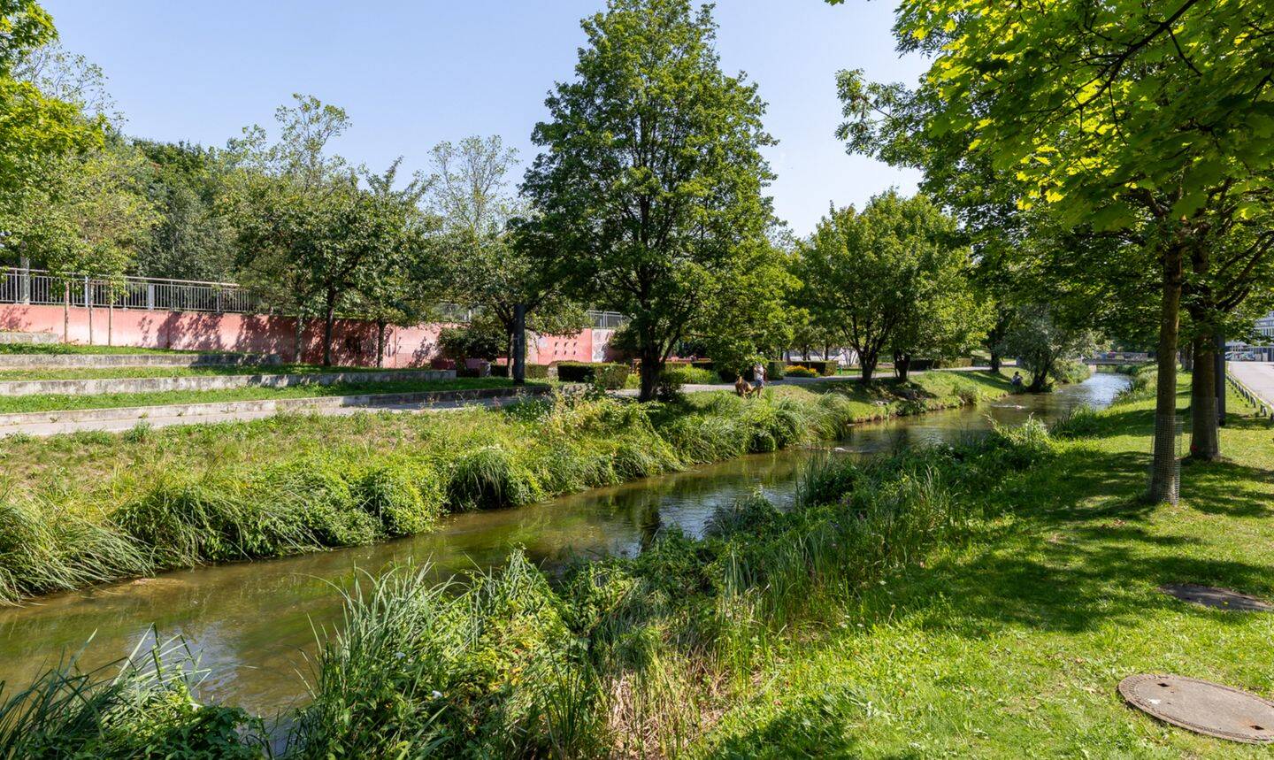Bild 9
