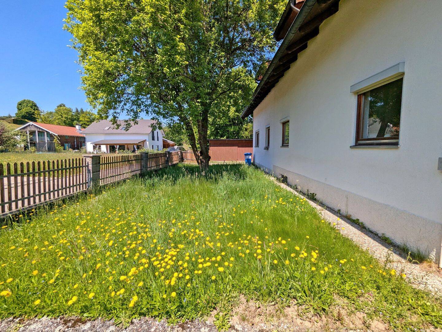 Bild 7