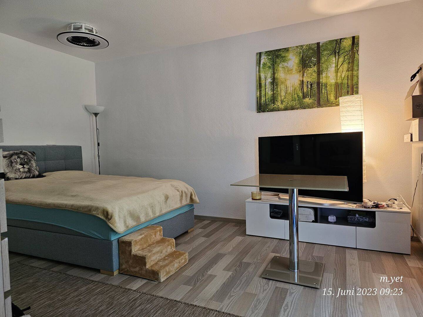 Bild 9