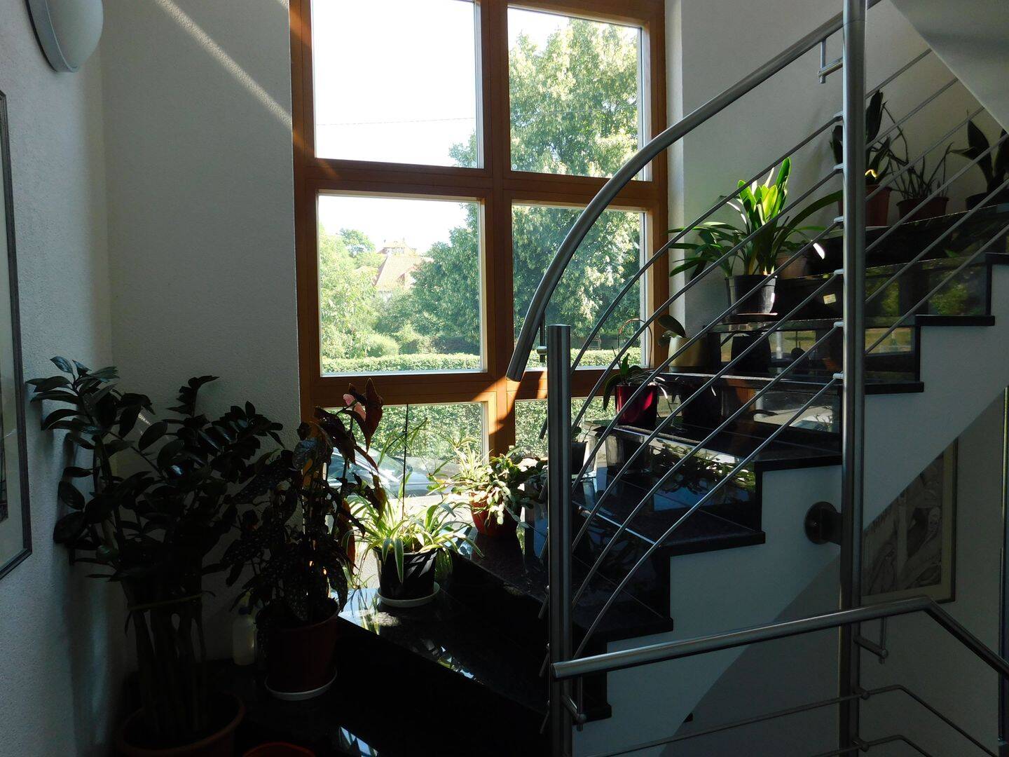 Bild 9