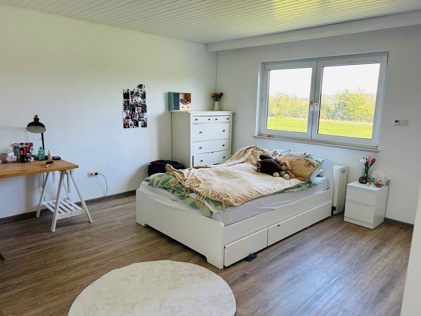 Bild 11