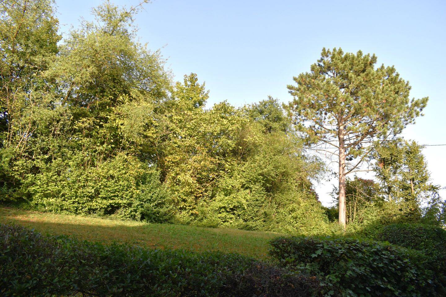 Bild 7