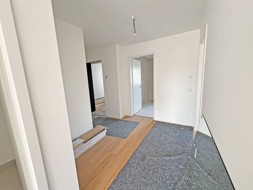 Bild 15