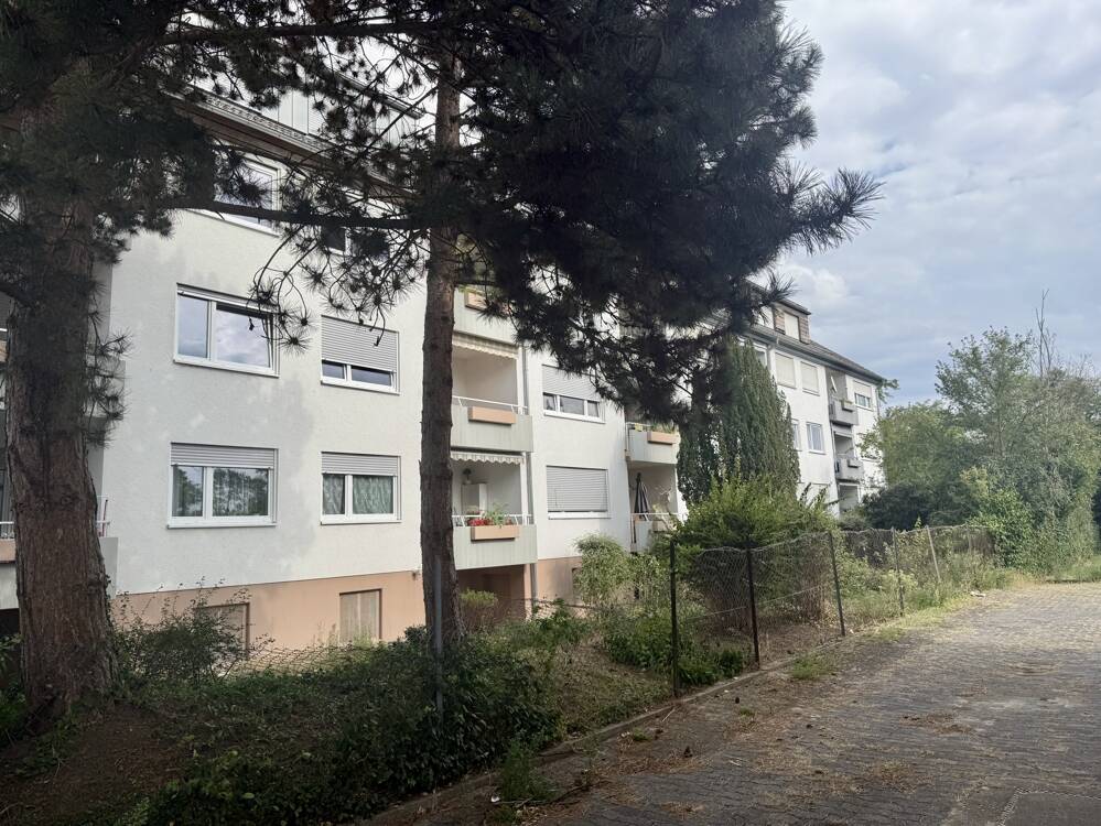 Bild 6