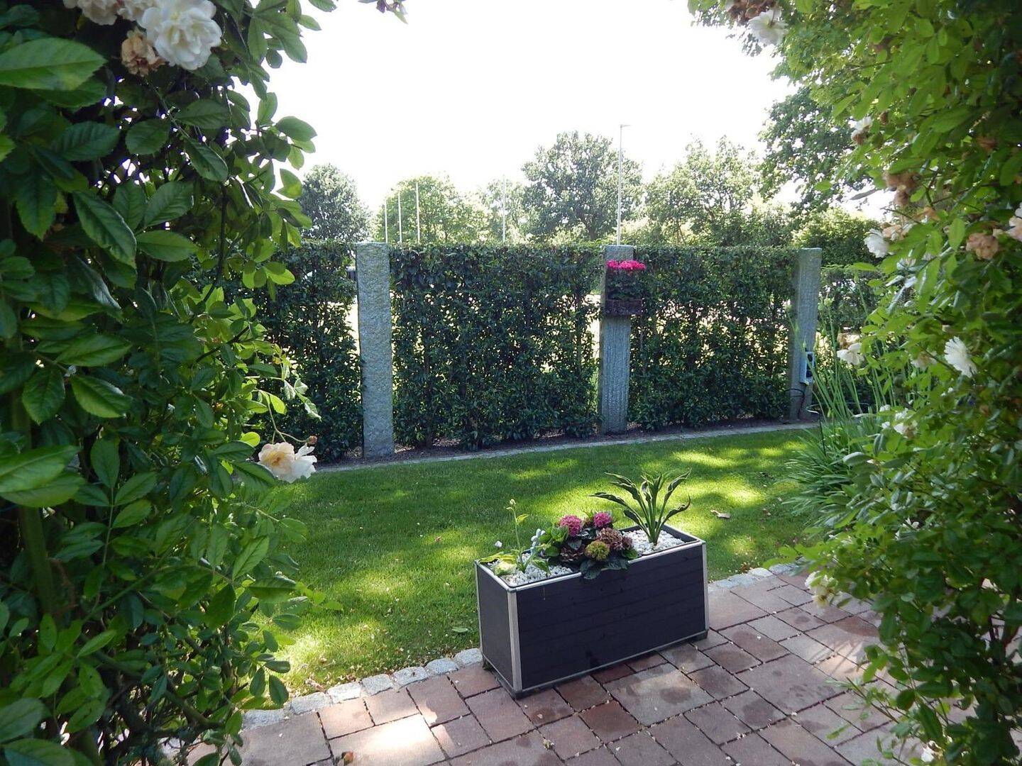Bild 15