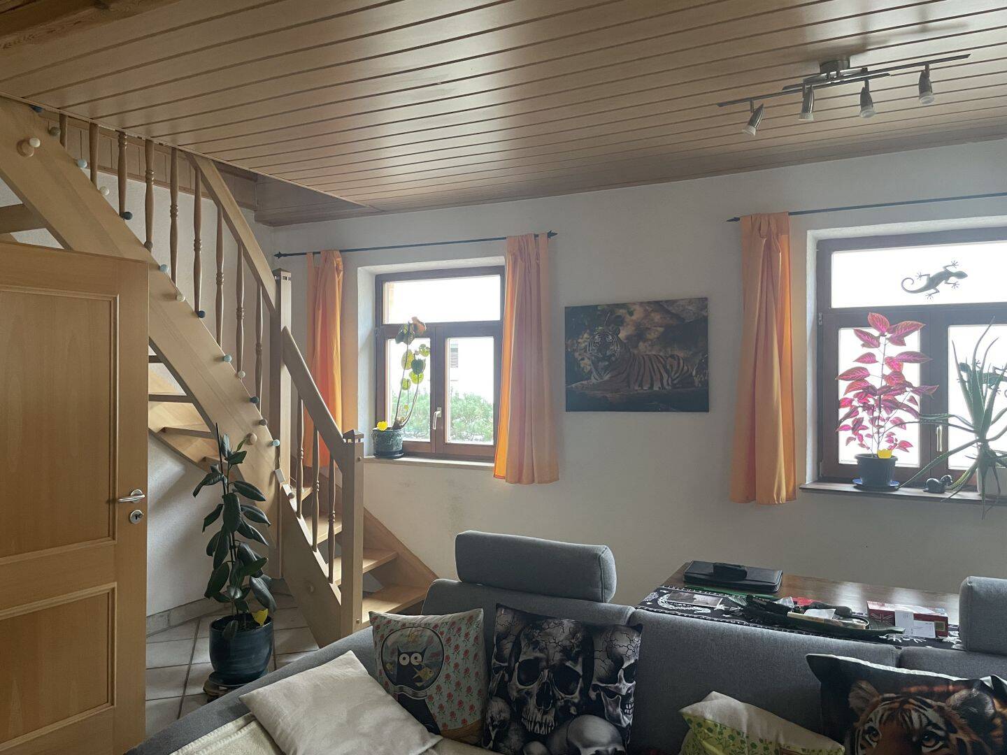 Bild 11