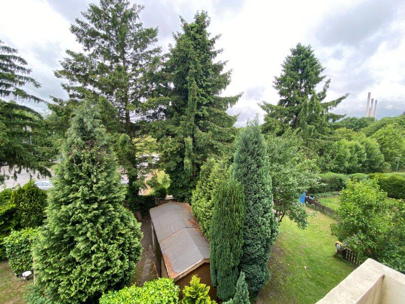 Bild 11