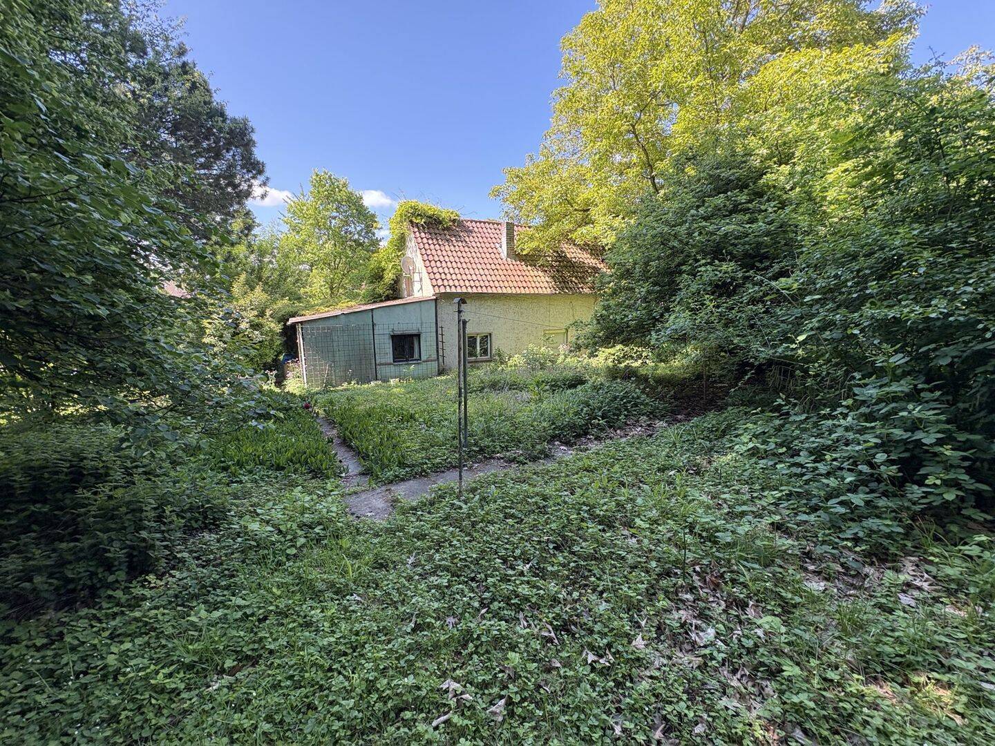 Bild 8