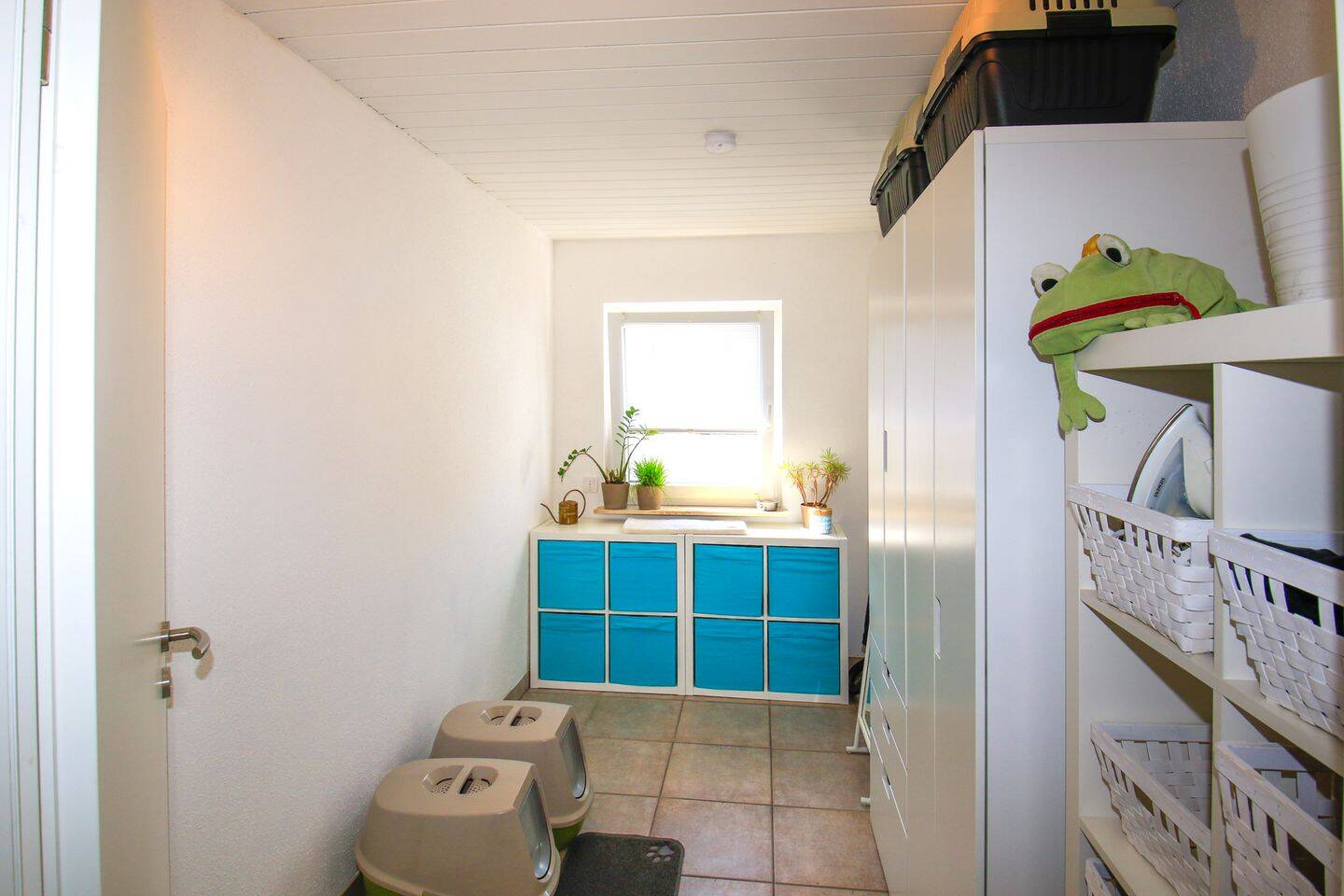 Bild 11