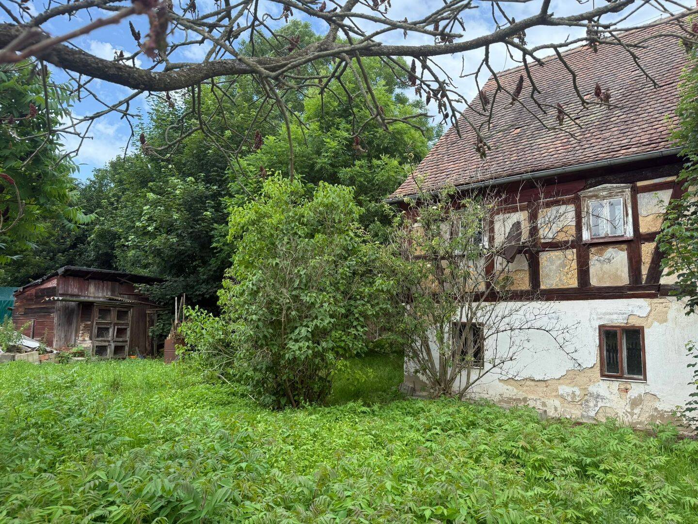Bild 4