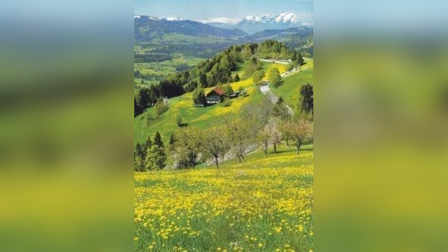 Bild 18